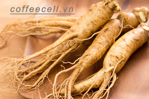 Bạch Sâm Hoàng Đế 6 Năm Tuổi là Gì? Khám Phá Tác Dụng "Vàng" Tuyệt Vời Đối Với Sức Khỏe